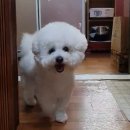 대용의료기상사 | 창원 한마음병원 제왕절개수술 후 5박6일 입원,병원생활