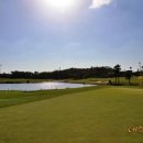 명문 | 제주 테디밸리cc 예약 잔디 컨디션 유명한 제주도 명문 골프장 부킹 후기