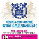 디자인강수진