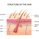 닥터로피부과의원 이미지