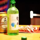 도토리캠핑장 이미지