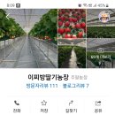 이찌방딸기