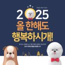 이지랜드공인중개사사무소 이미지