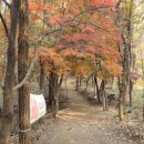 산성정 | 전주 황방산 등산 코스(주차장~서고산성~황방산~납암정~원점)