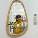 하아이(HA-AI)