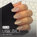 네일하니 - 미추홀구 | 라페스타 네일 맛집 네일_하니 가을 자석 후기