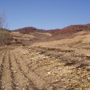 신흥2농장 이미지