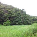 그린 낚시터 이미지