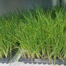 파주종묘농약사 이미지