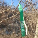 DMZ 평화의 길 31코스 이미지