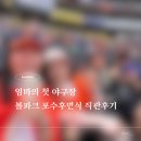 지에스(GS)25 미사한화중앙 | 한화생명볼파크 포수후면석 5열 시야 후기｜엄마와 첫 직관 + 밀리터리 유니폼 구매