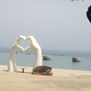 레일바이크 Daum카페