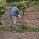 동훈이네농장 이미지