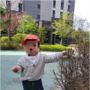 아이조아어린이집 네이버블로그