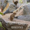 강릉노추산힐링캠프 이미지