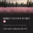 학명미술관 | 2025년 10월 가산수피아 핑크뮬리 🌸 무료입장 + 인생샷 명소 총정리 (대구 근교 칠곡)