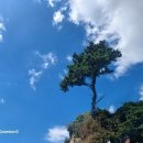 주식회사 벽전코리아