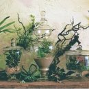 카페미장 이미지