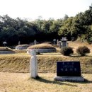 류사눌묘 이미지