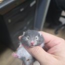 브리딩 팜 이미지