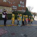 숲에서자라는아이들 이미지