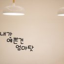 미용하는 퍼피마미 이미지