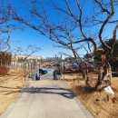 더블루체어치과의원 네이버블로그