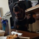 땡칠이치킨 이미지