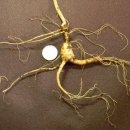 도봉목장 이미지