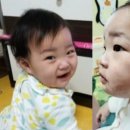 (유) 정인 이미지