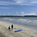 바다햇살 이미지