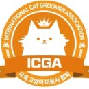 봄이오냥 이미지