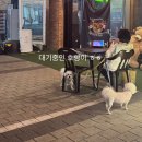 고파인천갈산점