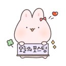 솜솜과일