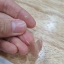 오티콘보청기부천소사점 | 부천보청기추천하는곳, 청력부터 사후관리까지 확실하게 책임지는 귀팡난청센터