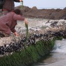 천진낭만 이미지