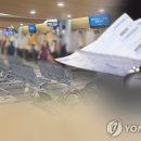 이번엔 골수 줄기세포 주사?…반년 새 실손보험금 &#39;줄줄&#39; 이미지