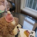 멍이냥식 이미지