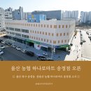 중울산농협하나로마트 이미지
