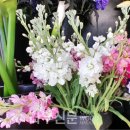 나무와창 이미지