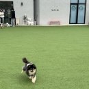 레인바우 이미지