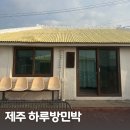 하루방 | 제주 구좌 하도리 숙소 하루방 민박 추천 감성 독채 숙박 후기