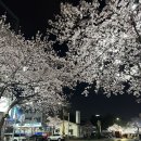 GS25 강릉교동점 이미지