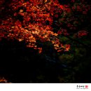 시루향기산성점 | 경북 청송/주왕산 &amp;절골 단풍및 절경들【15년10월25일】