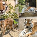 서울대공원 이미지