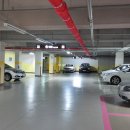 불광초등 이미지