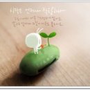 도토리PC방 이미지