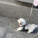 씨엔학원 | [마드리드 어학연수] 아니 제가 벌써 8주차라고요?