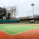 양재시민의숲 공원 테니스장 이미지
