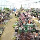 오현농장 이미지